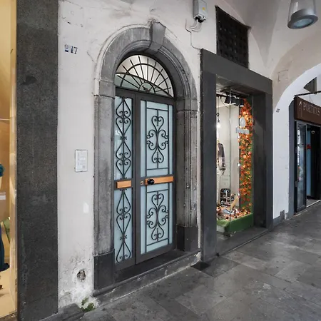 Nistela House *